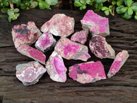 Natural Salrose Cobaltion Dolomite Specimens x 12 From Kakanda, Congo