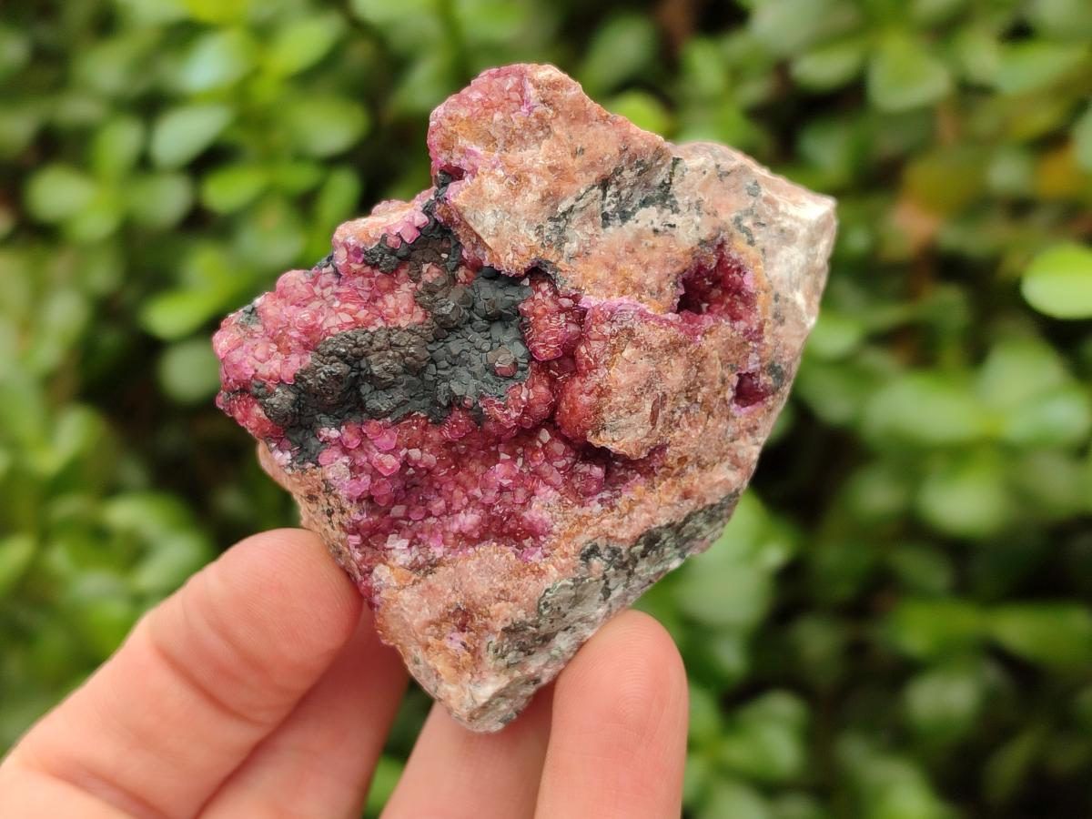 Natural Salrose Cobaltion Dolomite Specimens x 12 From Kakanda, Congo