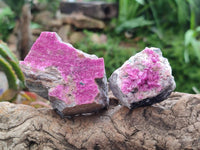 Natural Salrose Cobaltion Dolomite Specimens x 12 From Kakanda, Congo