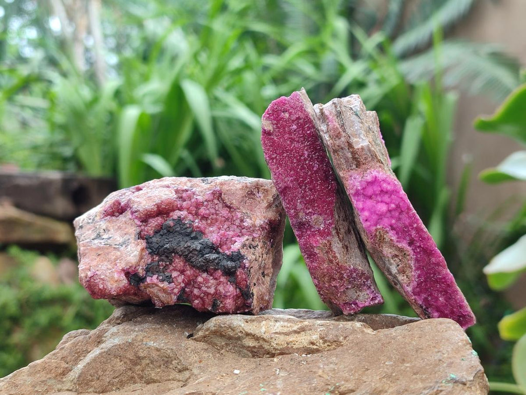 Natural Salrose Cobaltion Dolomite Specimens x 12 From Kakanda, Congo