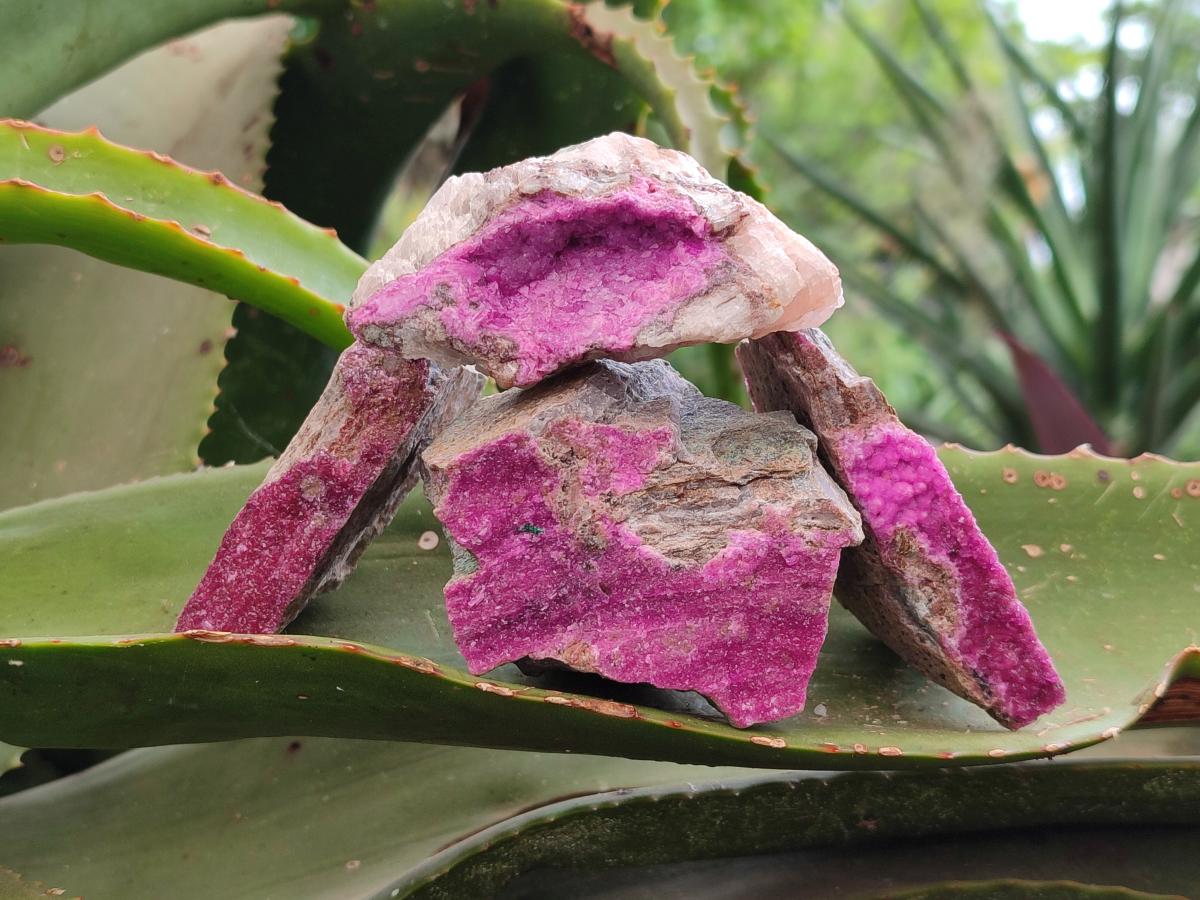Natural Salrose Cobaltion Dolomite Specimens x 12 From Kakanda, Congo