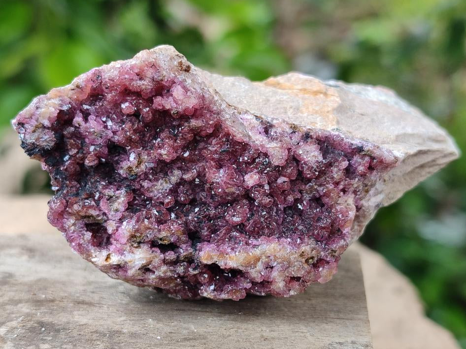 Natural Salrose Cobaltion Dolomite Specimens x 12 From Kakanda, Congo