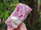 Natural Salrose Cobaltion Dolomite Specimens x 12 From Kakanda, Congo