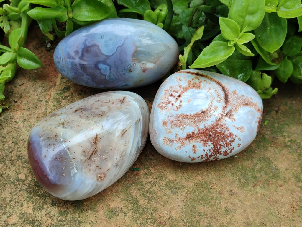 Polished Red Shashe River Agate Galets x 12 From Shashe River, Zimbabwe