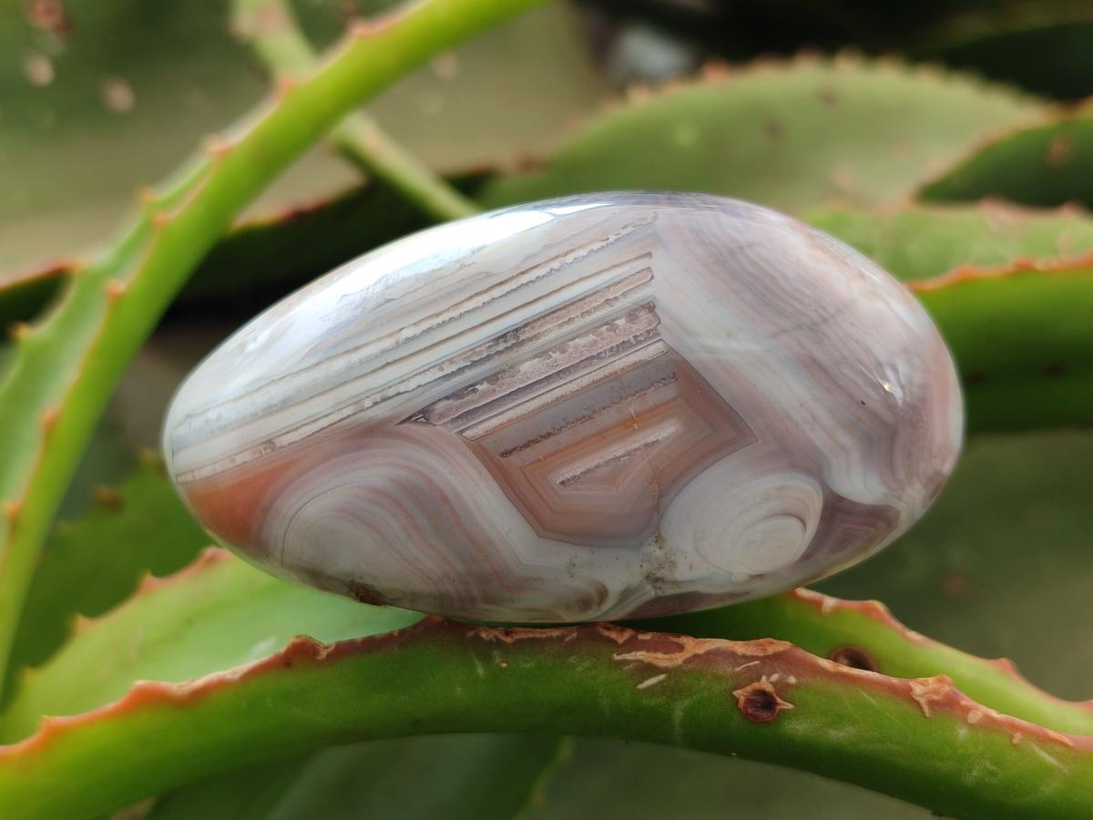 Polished Red Shashe River Agate Galets x 12 From Shashe River, Zimbabwe