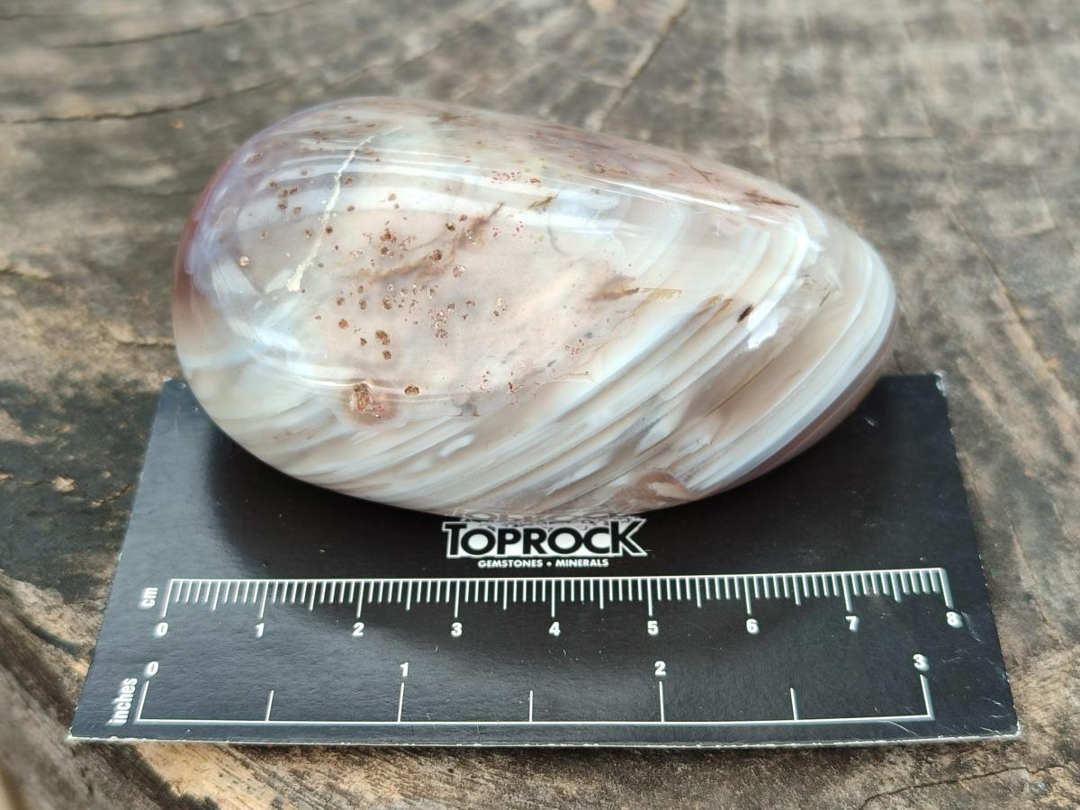 Polished Red Shashe River Agate Galets x 12 From Shashe River, Zimbabwe