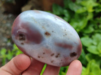 Polished Red Shashe River Agate Galets x 12 From Shashe River, Zimbabwe