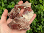 Natural Red Hematoid Quartz Crystal Clusters x 24 From Karoi, Zimbabwe