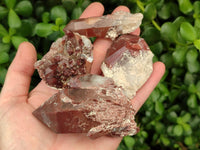 Natural Red Hematoid Quartz Crystal Clusters x 24 From Karoi, Zimbabwe