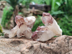 Natural Red Hematoid Quartz Crystal Clusters x 24 From Karoi, Zimbabwe