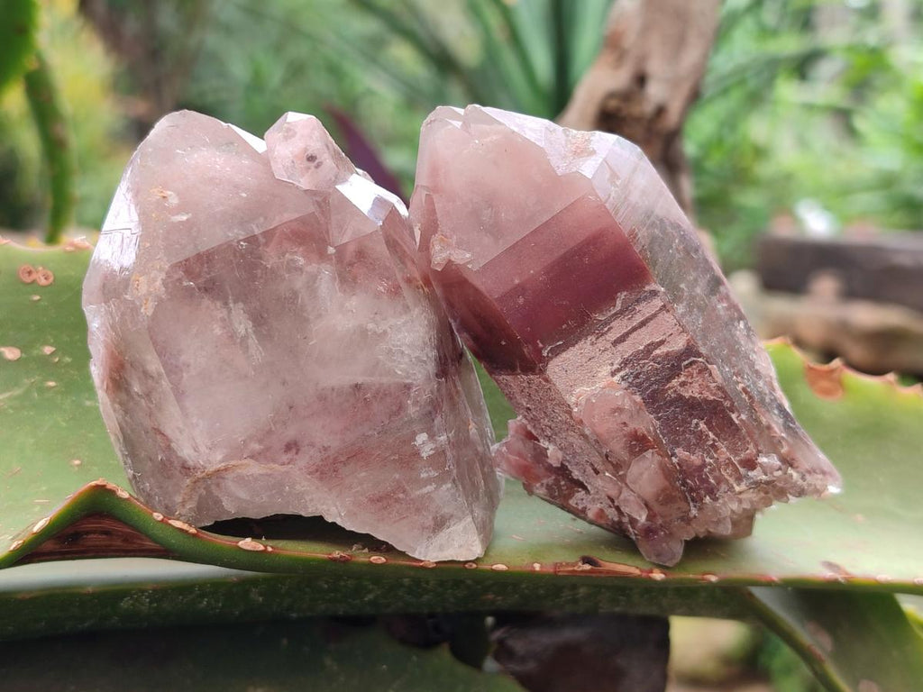 Natural Red Hematoid Quartz Crystal Clusters x 24 From Karoi, Zimbabwe