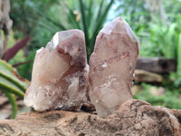 Natural Red Hematoid Quartz Crystal Clusters x 24 From Karoi, Zimbabwe