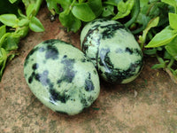 Polished Leopard Stone Free Forms x 12 From Zimbabwe