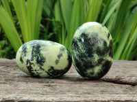 Polished Leopard Stone Free Forms x 12 From Zimbabwe