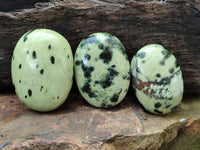 Polished Leopard Stone Free Forms x 12 From Zimbabwe