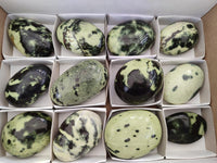 Polished Leopard Stone Free Forms x 12 From Zimbabwe