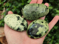 Polished Leopard Stone Free Forms x 12 From Zimbabwe