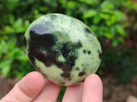 Polished Leopard Stone Free Forms x 12 From Zimbabwe