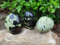 Polished Leopard Stone Free Forms x 12 From Zimbabwe