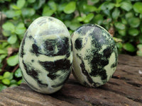 Polished Leopard Stone Free Forms x 12 From Zimbabwe