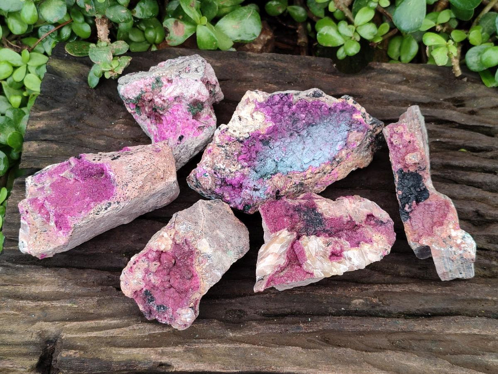 Natural Salrose Cobaltion Dolomite Specimens x 6 From Kakanda, Congo