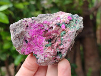 Natural Salrose Cobaltion Dolomite Specimens x 6 From Kakanda, Congo
