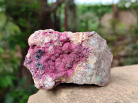 Natural Salrose Cobaltion Dolomite Specimens x 6 From Kakanda, Congo