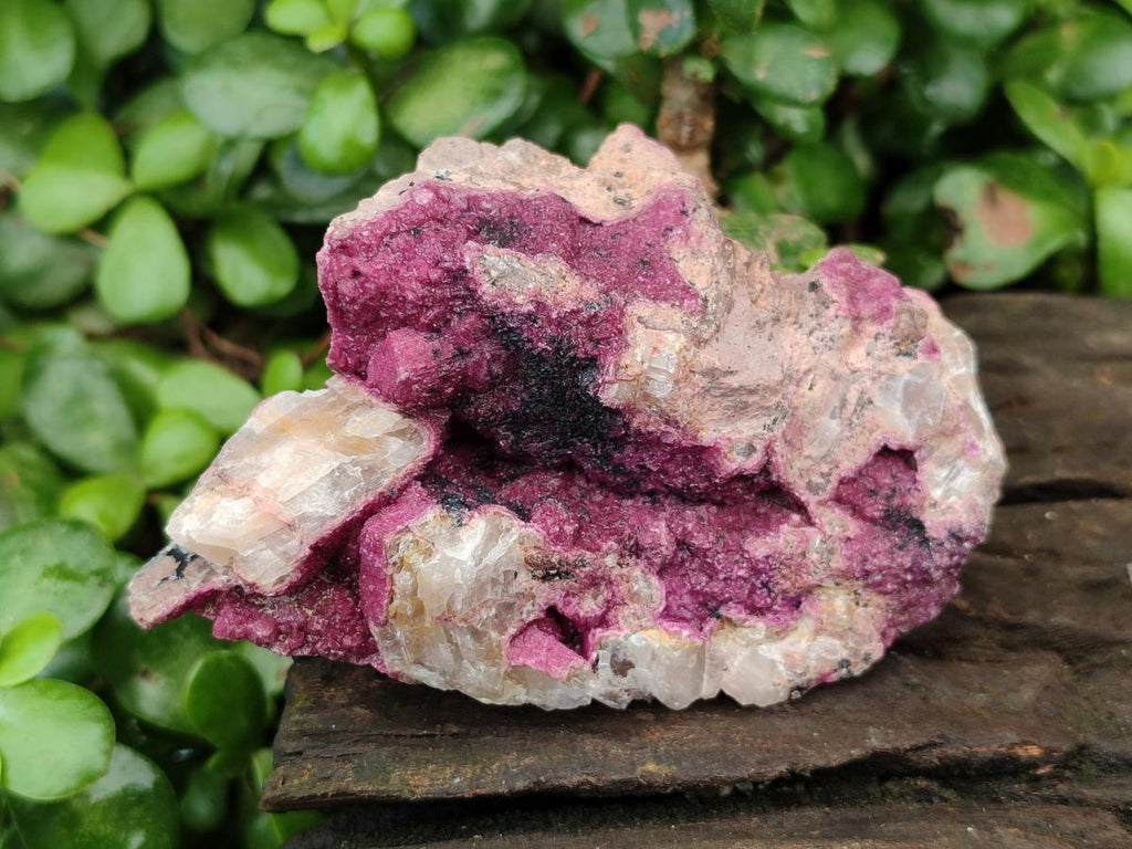 Natural Salrose Cobaltion Dolomite Specimens x 6 From Kakanda, Congo