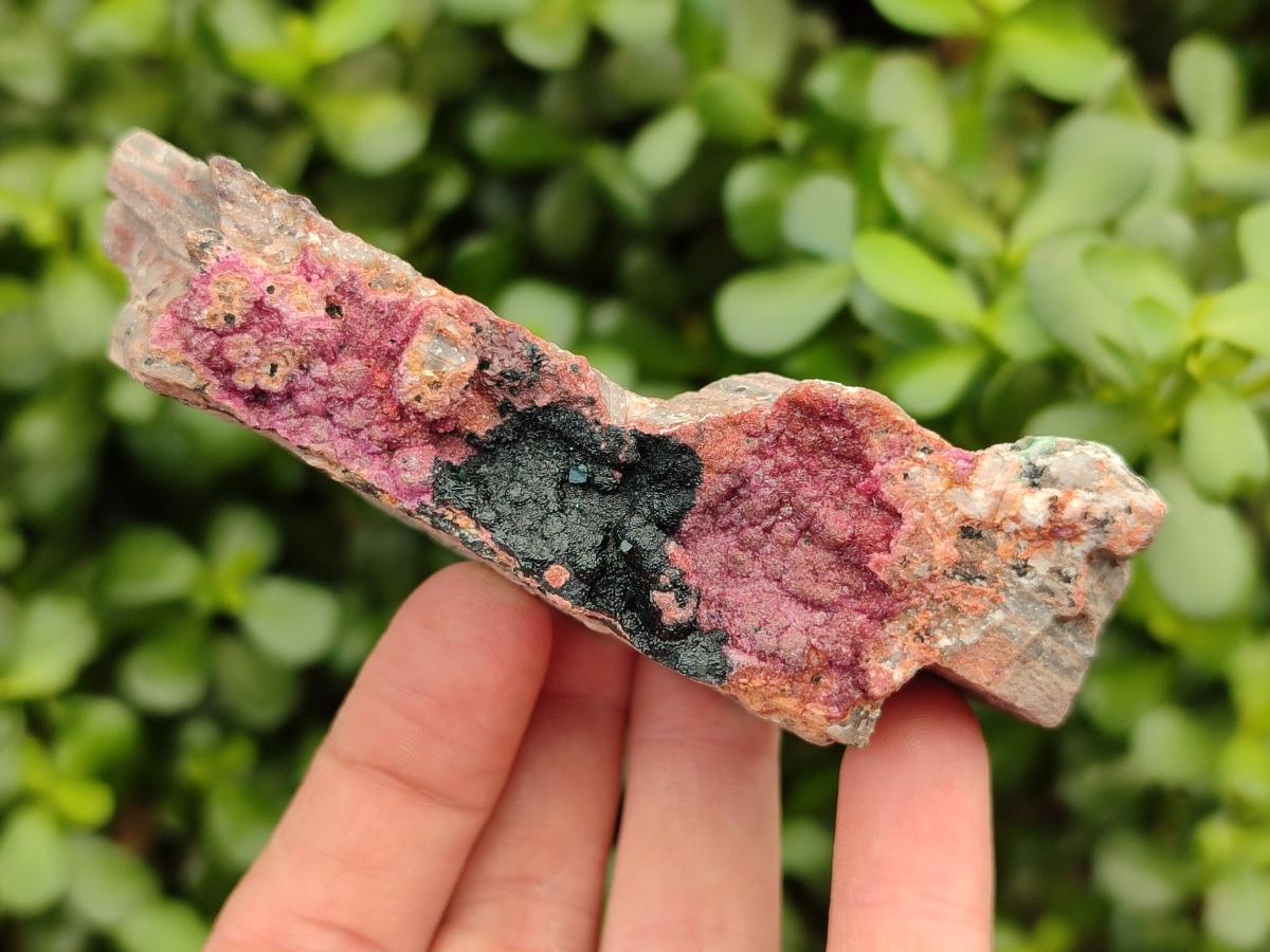 Natural Salrose Cobaltion Dolomite Specimens x 6 From Kakanda, Congo