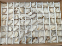 Natural Drusy Snow Finger Crystals x 70 From Albert's Mountain, Lesotho