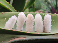 Natural Drusy Snow Finger Crystals x 70 From Albert's Mountain, Lesotho