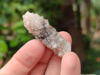 Natural Drusy Snow Finger Crystals x 70 From Albert's Mountain, Lesotho