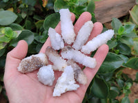 Natural Drusy Snow Finger Crystals x 70 From Albert's Mountain, Lesotho