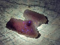 Natural Drusy Snow Finger Crystals x 70 From Albert's Mountain, Lesotho