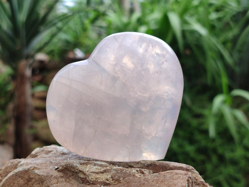 Polished Star Rose Quartz Hearts x 6 From Madagascar