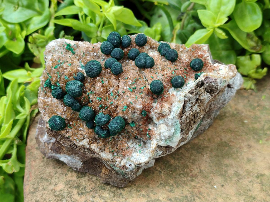 Natural Crystalline Ball Malachite And Quartz On Dolomite Specimens x 2 From Mindingi Mine, Kambove, Congo