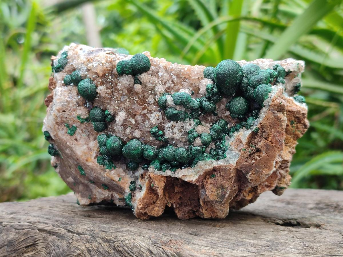 Natural Crystalline Ball Malachite And Quartz On Dolomite Specimens x 2 From Mindingi Mine, Kambove, Congo