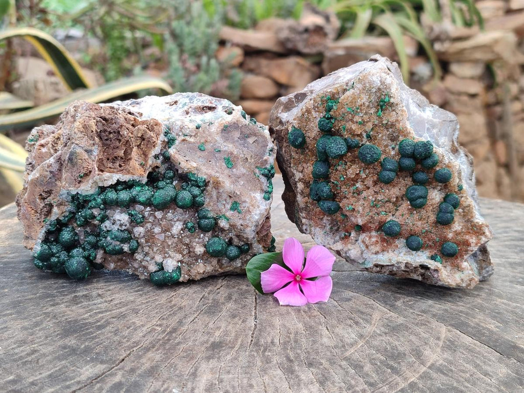 Natural Crystalline Ball Malachite And Quartz On Dolomite Specimens x 2 From Mindingi Mine, Kambove, Congo
