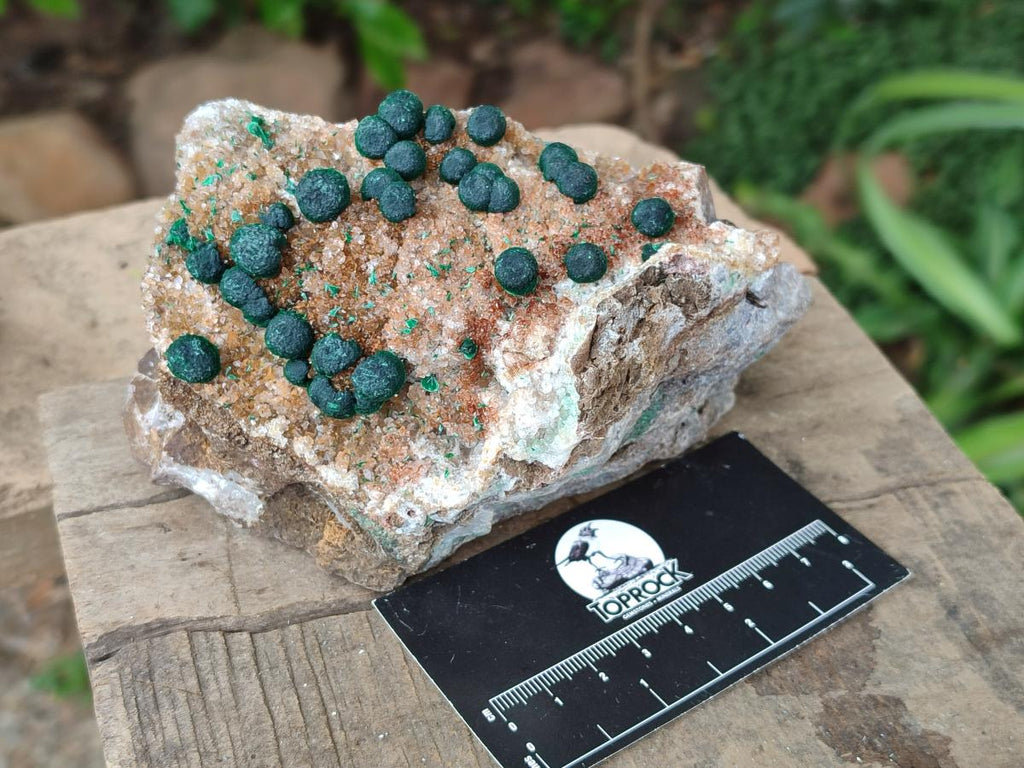 Natural Crystalline Ball Malachite And Quartz On Dolomite Specimens x 2 From Mindingi Mine, Kambove, Congo
