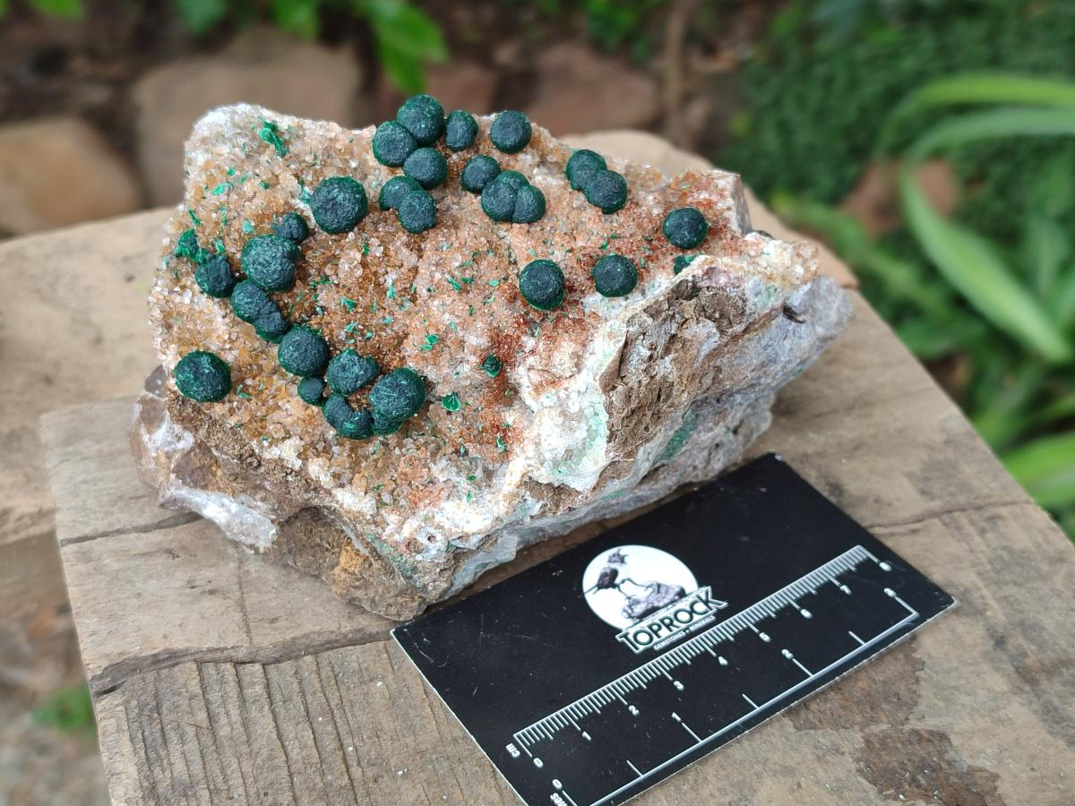 Natural Crystalline Ball Malachite And Quartz On Dolomite Specimens x 2 From Mindingi Mine, Kambove, Congo