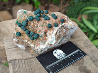 Natural Crystalline Ball Malachite And Quartz On Dolomite Specimens x 2 From Mindingi Mine, Kambove, Congo
