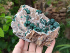 Natural Crystalline Ball Malachite And Quartz On Dolomite Specimens x 2 From Mindingi Mine, Kambove, Congo