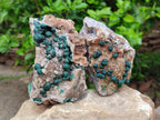 Natural Crystalline Ball Malachite And Quartz On Dolomite Specimens x 2 From Mindingi Mine, Kambove, Congo