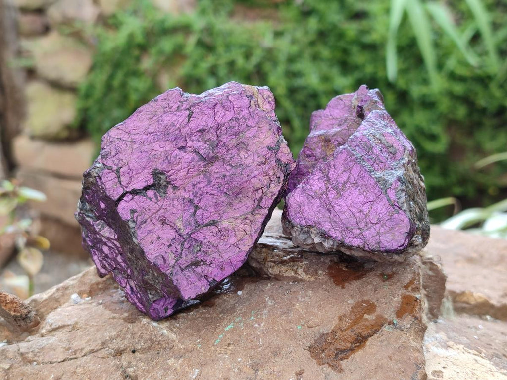 Natural Metallic Purpurite Specimens x 12 From Erongo, Namibia
