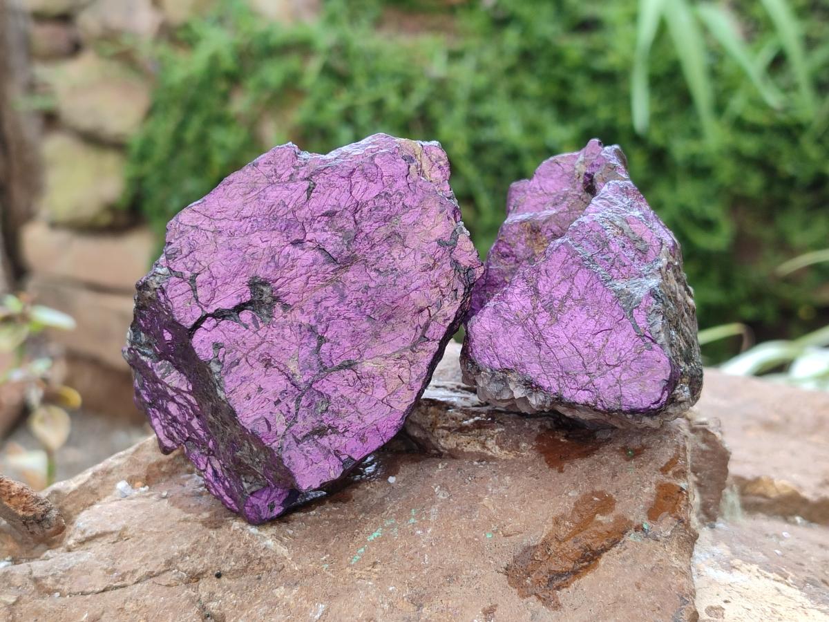 Natural Metallic Purpurite Specimens x 12 From Erongo, Namibia