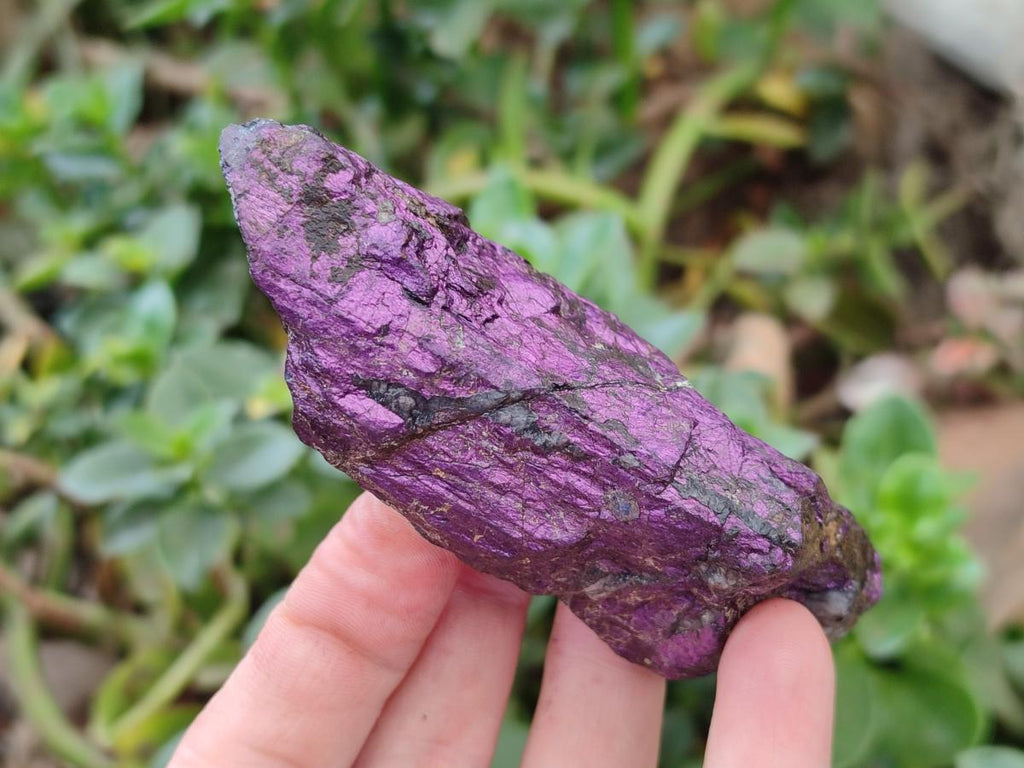 Natural Metallic Purpurite Specimens x 12 From Erongo, Namibia