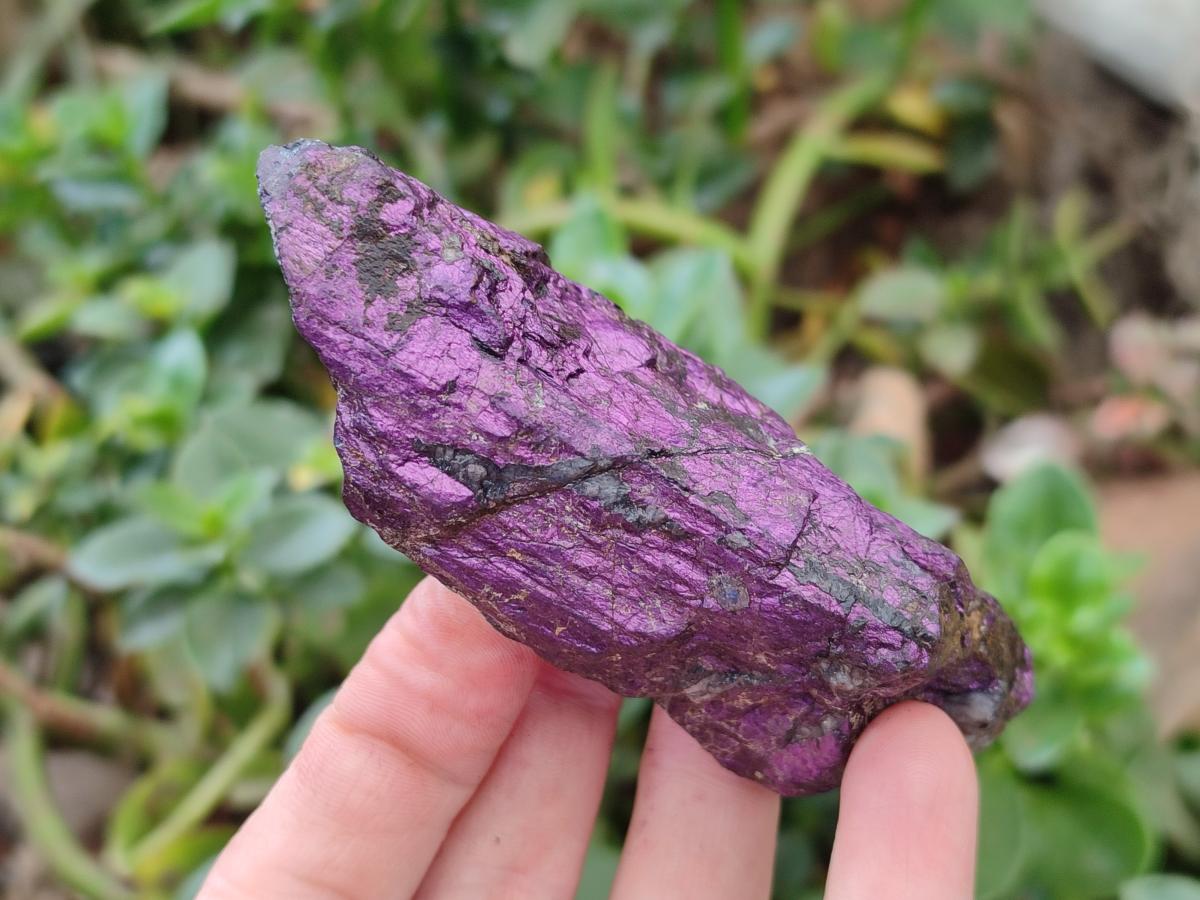 Natural Metallic Purpurite Specimens x 12 From Erongo, Namibia