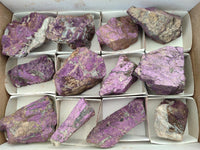 Natural Metallic Purpurite Specimens x 12 From Erongo, Namibia
