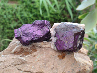 Natural Metallic Purpurite Specimens x 12 From Erongo, Namibia