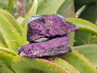 Natural Metallic Purpurite Specimens x 12 From Erongo, Namibia